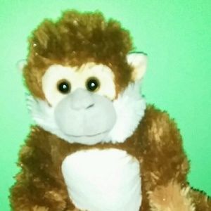 Meet your Posher, Eduardo